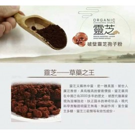 Maione破壁靈芝孢子粉