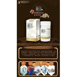 Maione破壁靈芝孢子粉
